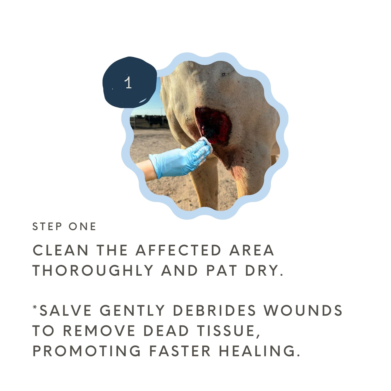 Severe Wound Care Kit