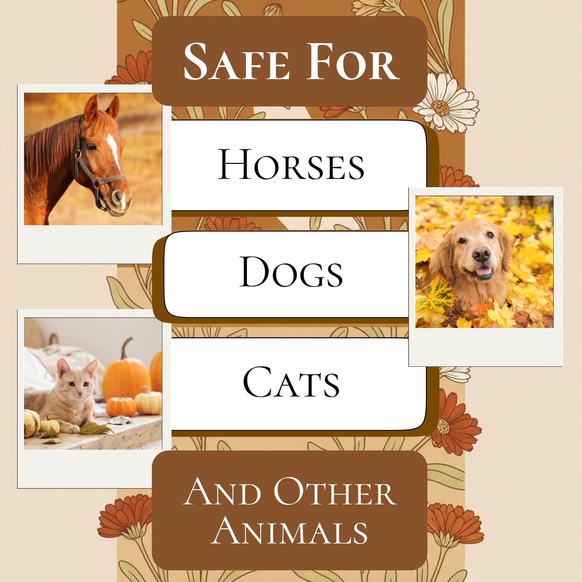 Allergy, Cough, & Respiratory Relief