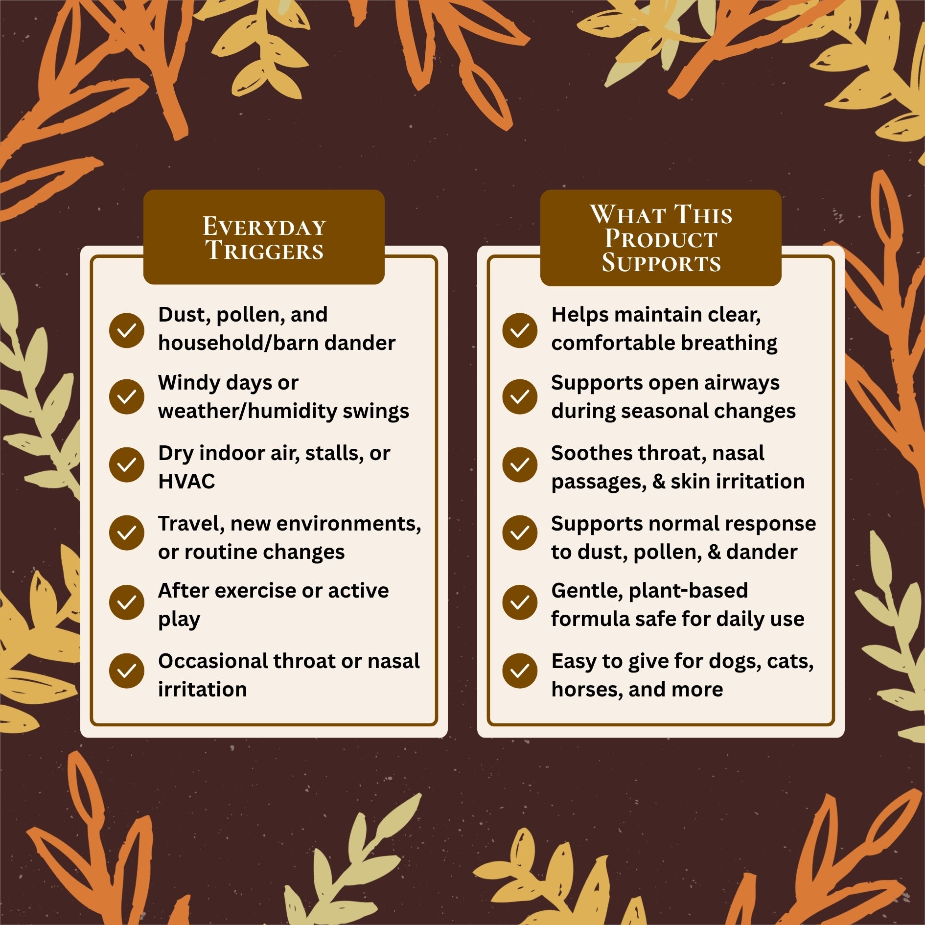 Allergy, Cough, & Respiratory Relief