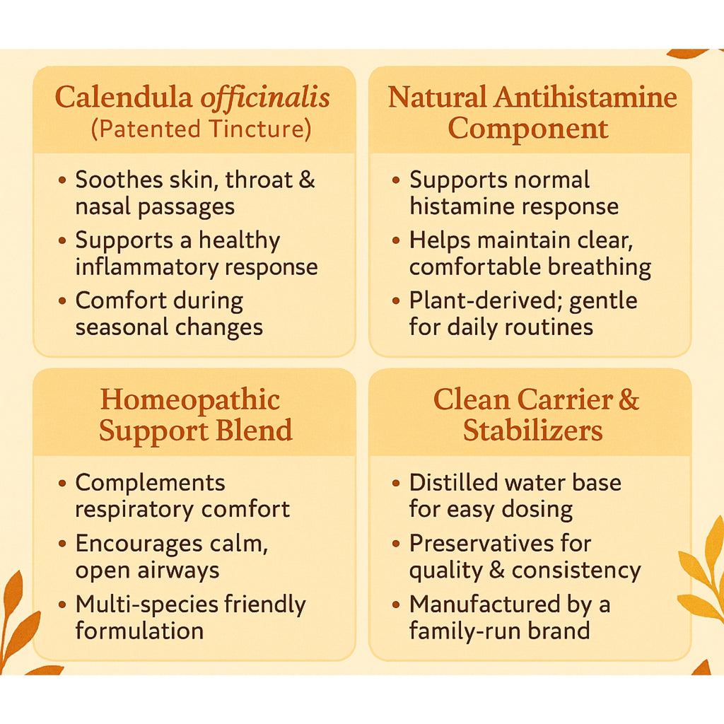 Allergy, Cough, & Respiratory Relief